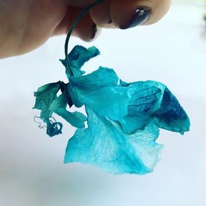 Meet your Posher, Ksusha